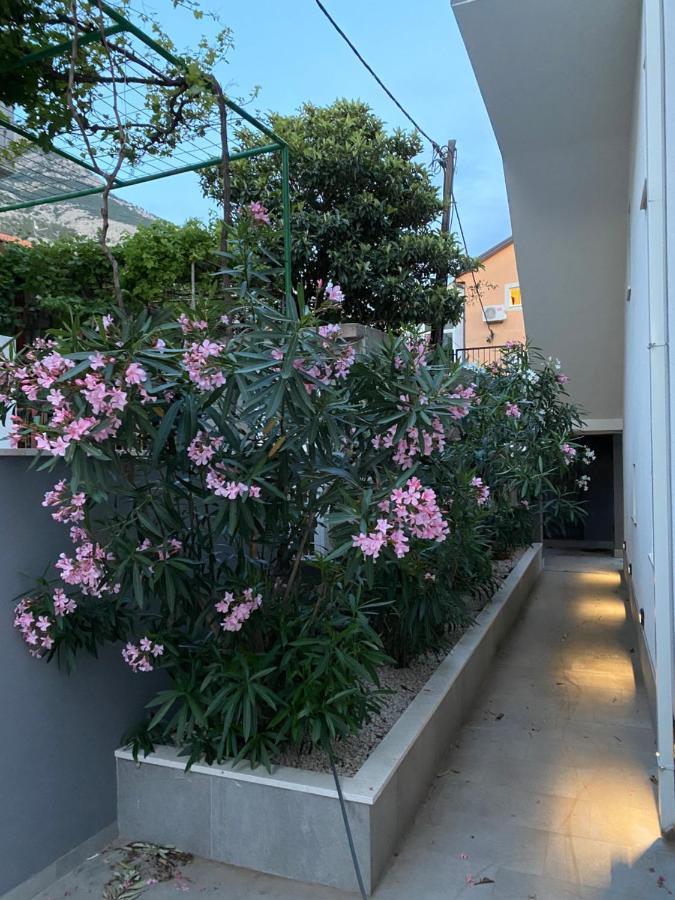 Villa Melassy Makarska Ngoại thất bức ảnh
